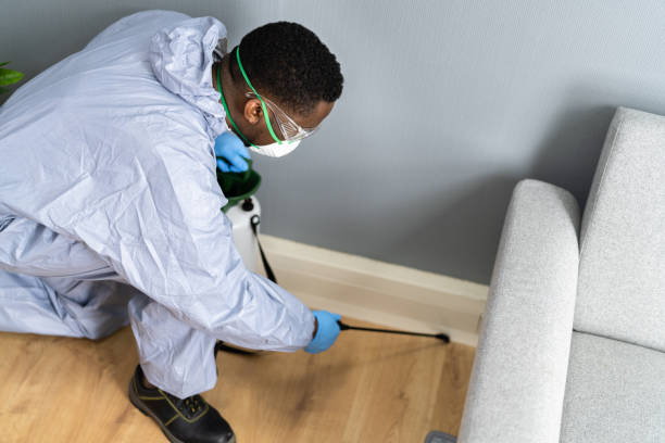 Indoor Pest Control in Parsippany, NJ